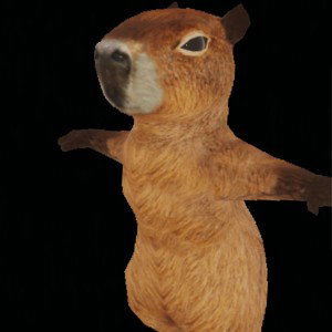 bratybara