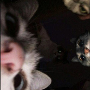 petit papa Noël 