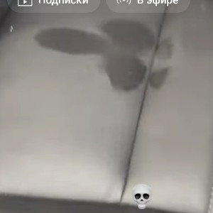 Тағы тартты