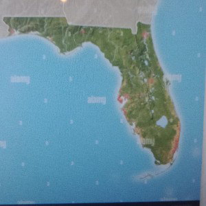 STATE FLORIDAS