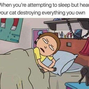 life is hard