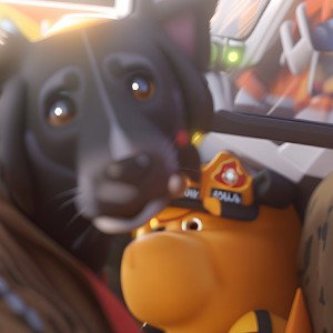 das Leben ist hart
