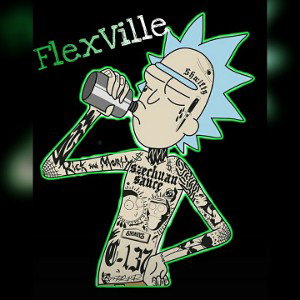 FLeXVille 7