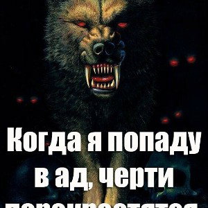 Волк