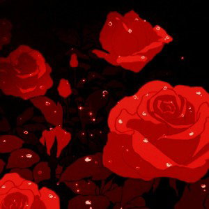 11 Roses 
