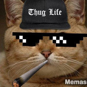 ⁶⁶⁶Rap | Араби⁶⁶⁶