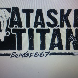 Bardos667