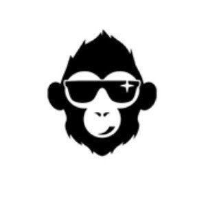 Studio Monkeyz
