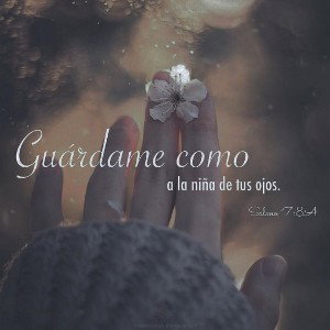 Redimidos por su sangre