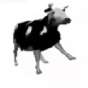 Cow228