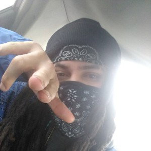 Rogue panda nation 