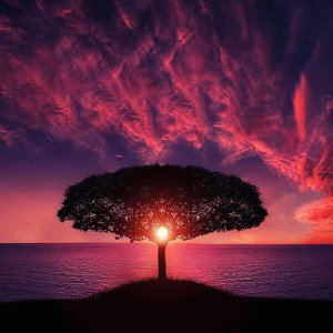 Solitario ( Poesía Profética )