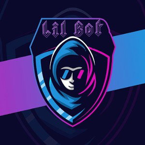 LIL BOT TEAM