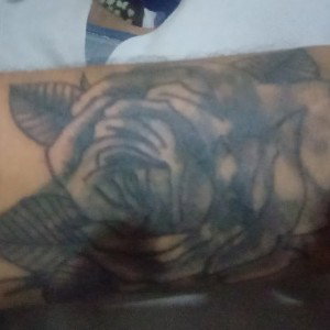 Sinaloa dLos BarRios más bagos