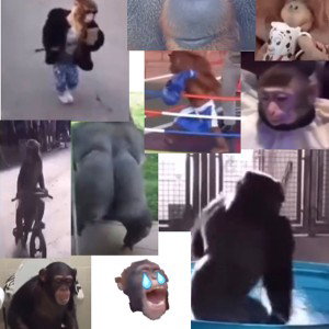 Monke Gang