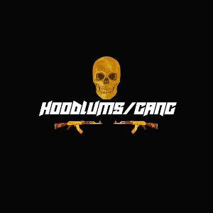 hoodlums/gang
