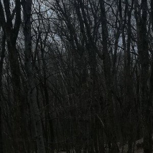 Cold Russia 