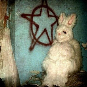 Waskilly Wabbit Stew Talk