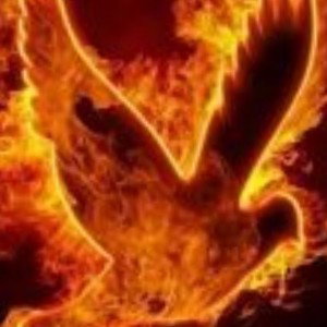 Holyfire. Gang   