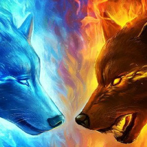 WOLFXGANG