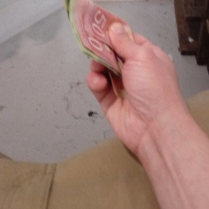 WHITEBBC
