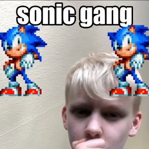Sonic gang