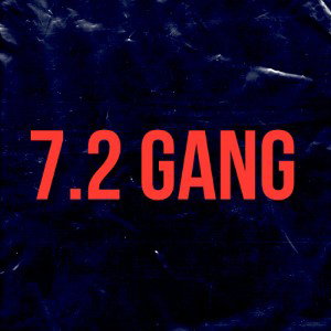 7.2 GANG