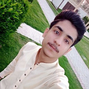 MAAN MALIKs offical