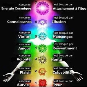 Evolution in the Light