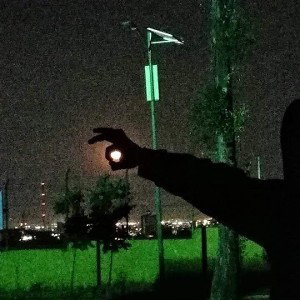 MELODIA DE LA CALLE 