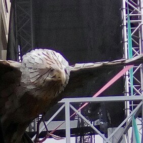 Bird Rap