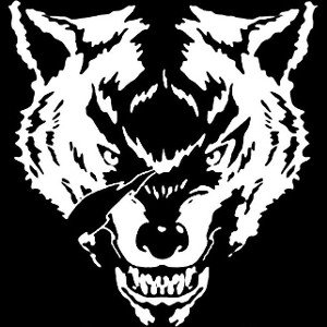 F.E.A.R