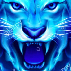Kingdom Lion