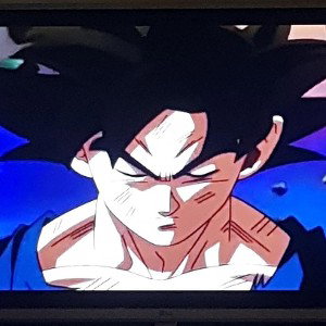 Goku full bro