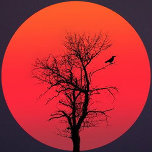 RedMoon