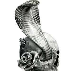 Cobra gang