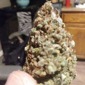 I love weed 