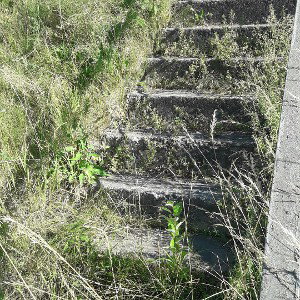 UTIHA