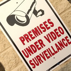 Infamous Art Crimes .