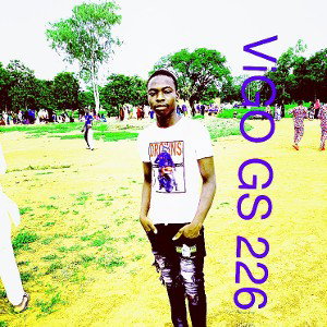 ViGO GS 226