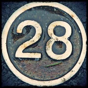 A.M.U.R.K.A.28