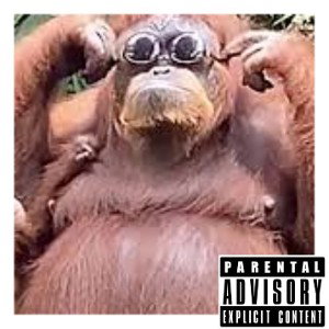 The Monkey's 