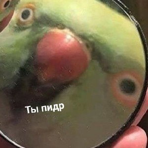 Рок_Стар_бой