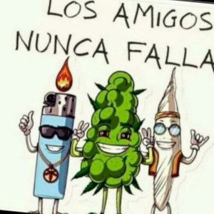 TALENTO MUSICK