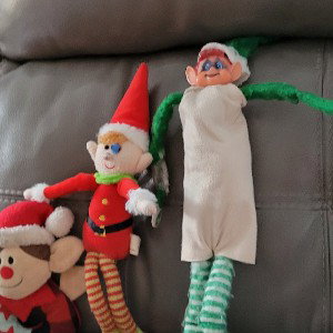 elfteam3