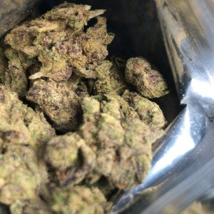 Stoners InC