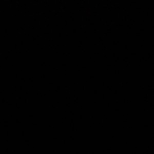 Black Crew 007