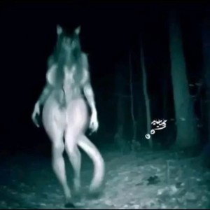 WÖPSTXRZ METAVERSE