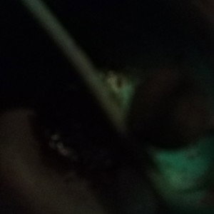 $-Most_Dope-$