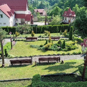 Репер чек_73910